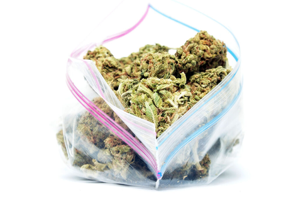 A plastic bag with THC-A HEMP flower in it to show how the wholesale option offers benefits in the hemp business.