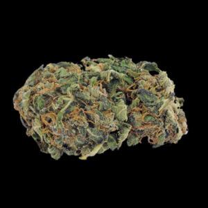 Indica – Hybrid