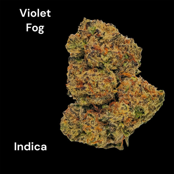 THCA Bulk Flower Violet Fog