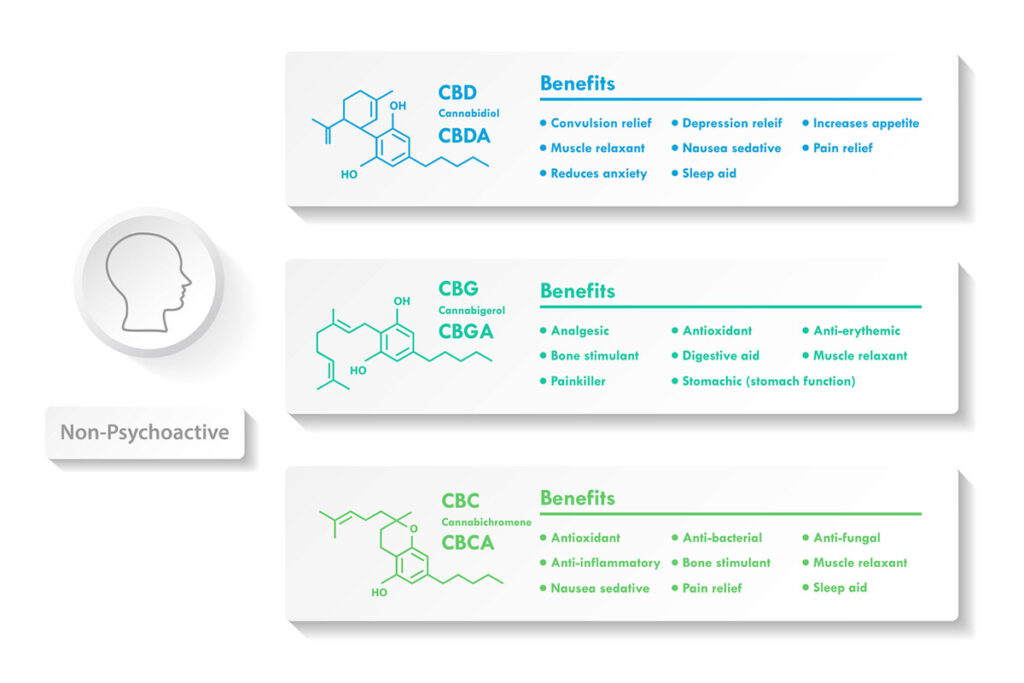 This infographic shows a list of the non psychoactive minor cannabinoids along with their molecular composition and benefits.