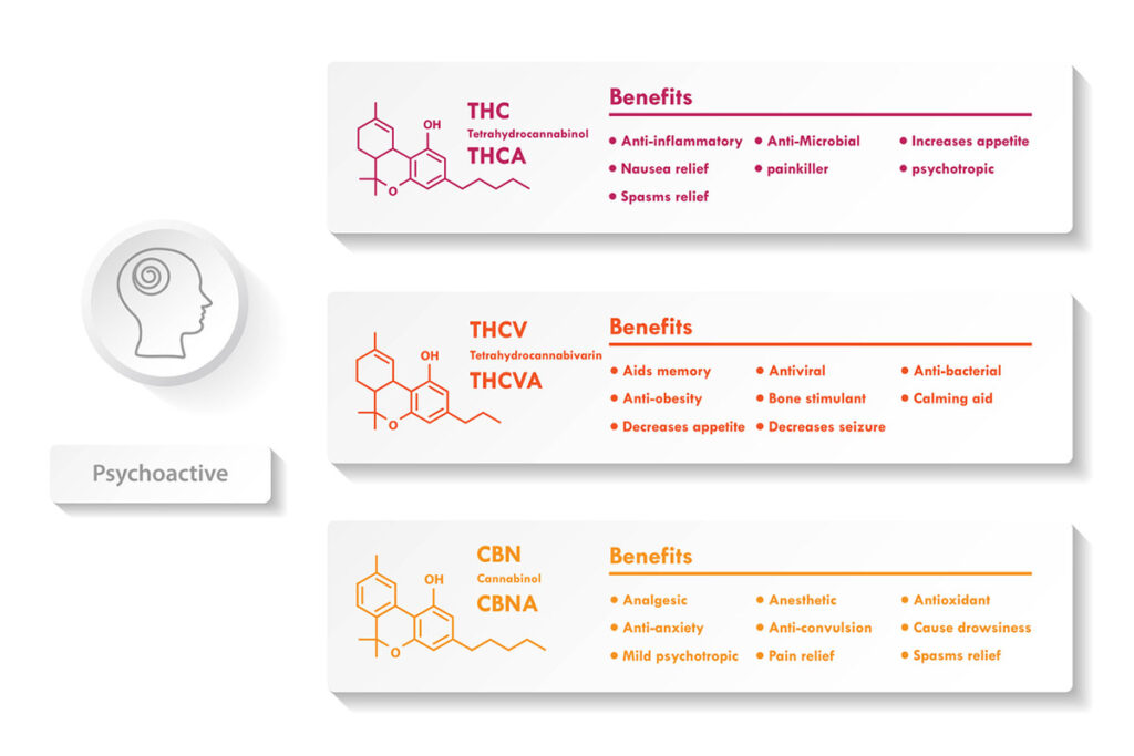 This infographic shows a list of the psychoactive minor cannabinoids along with their molecular composition and benefits.