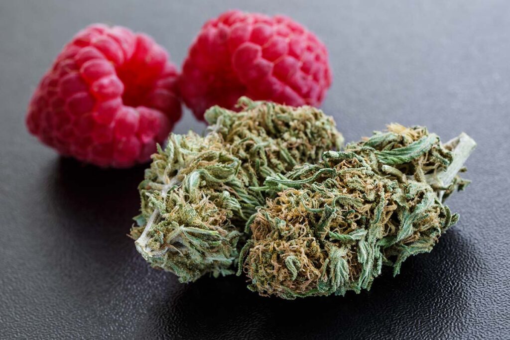 THCA flower buds next to raspberries reminds us that terpenes in cannabis experience play a big role